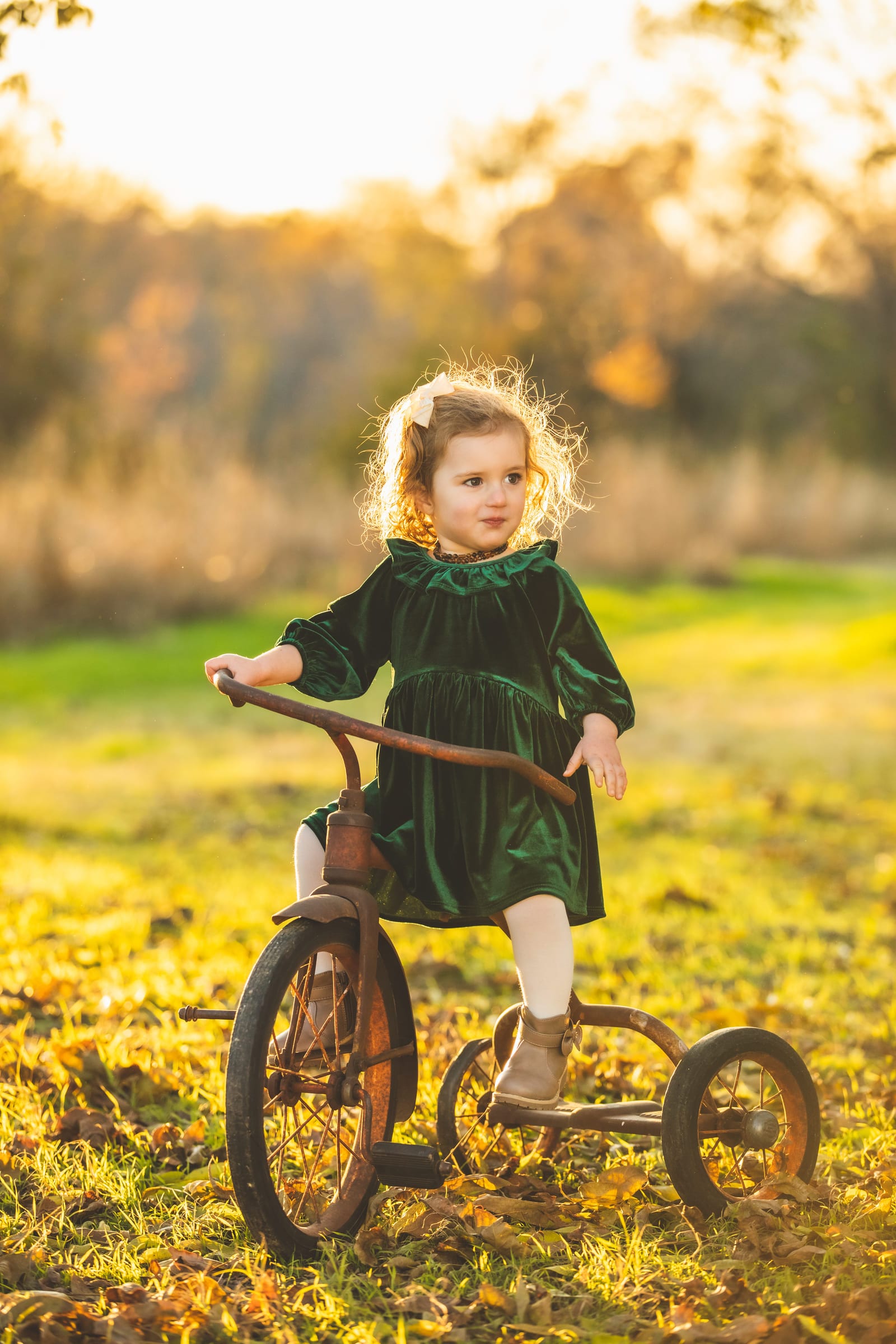 A toddler in a green velvet dress pushing an old tricycle through long grass, lit from behind by the setting sun.