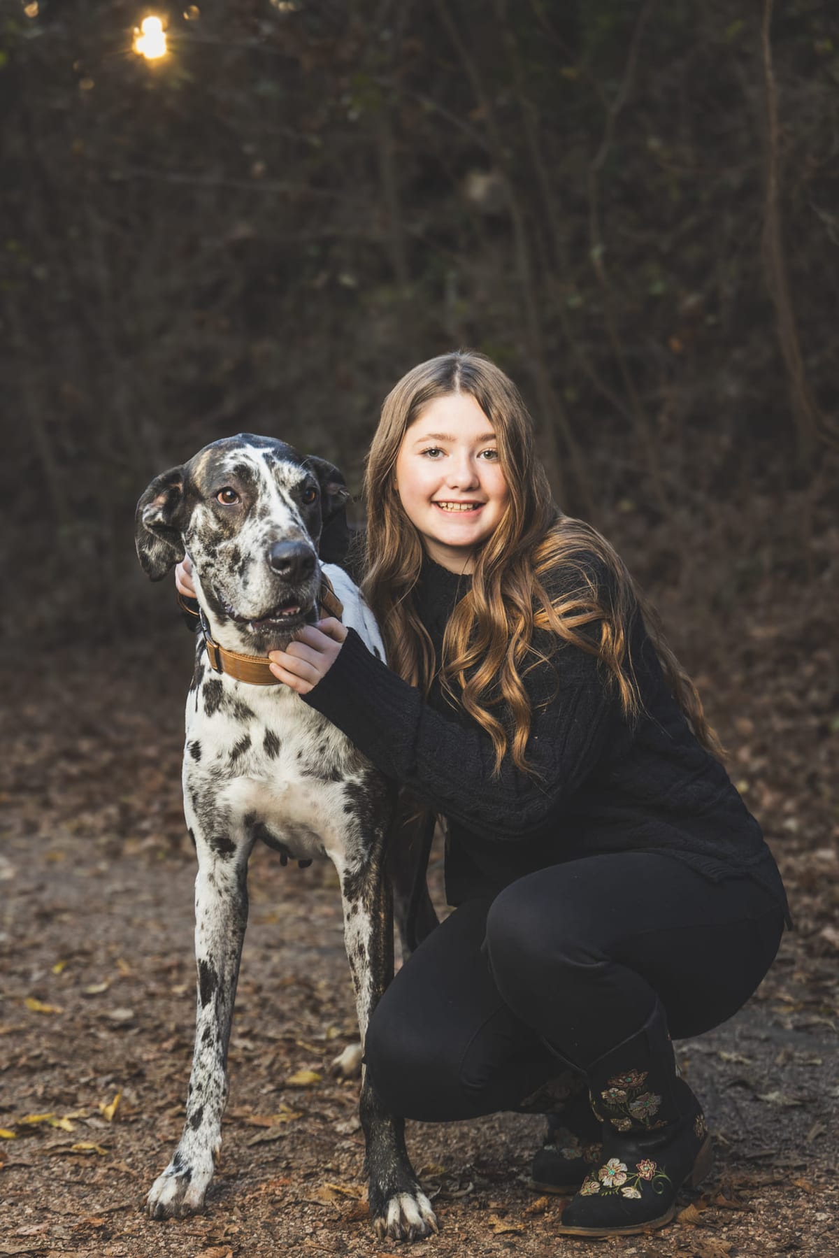 A senior crouched beside a harlequin Great Dane in the woods, one arm across the dog’s shoulder.